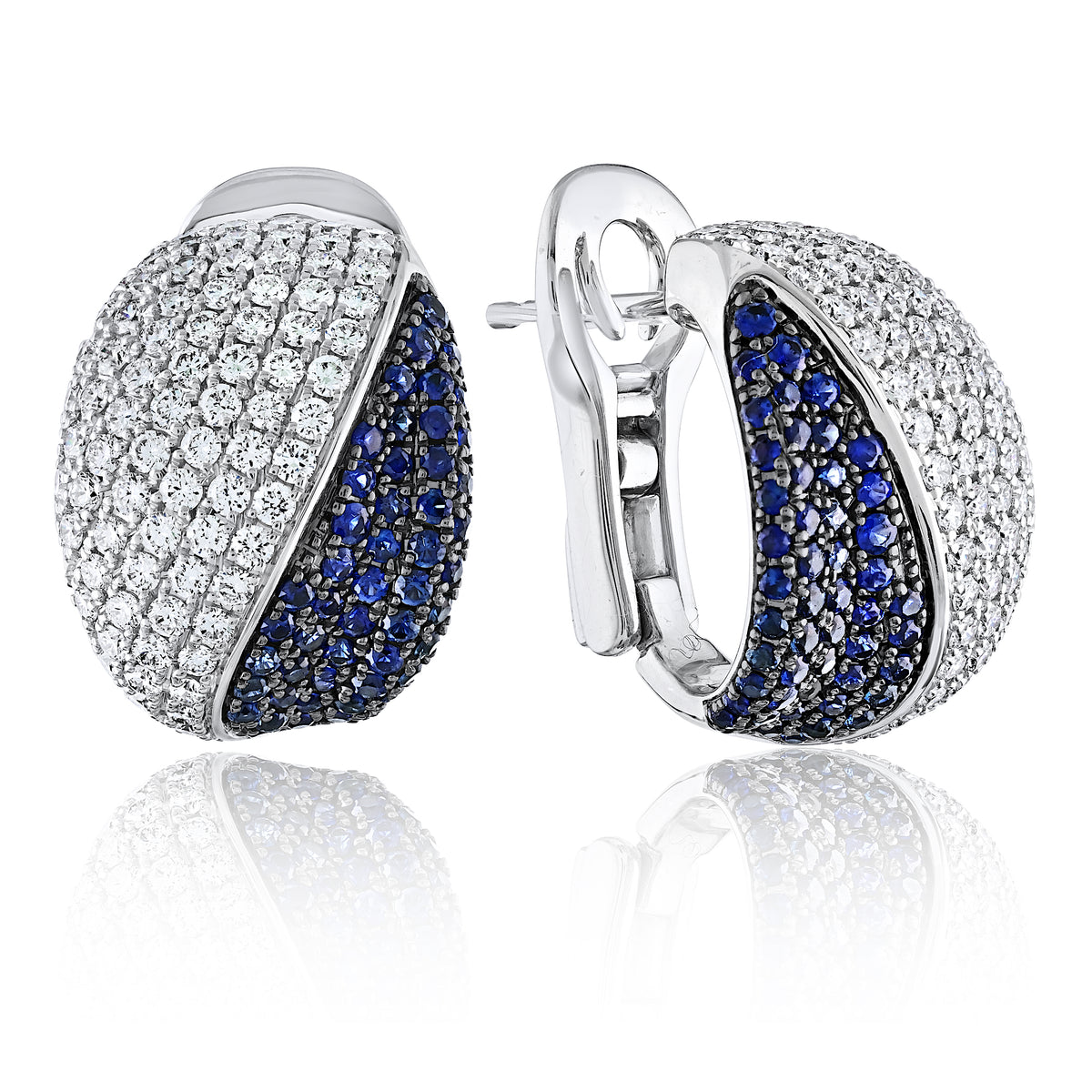 Elegant Earrings