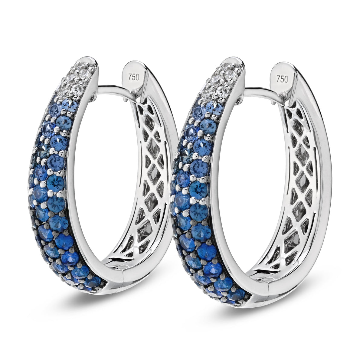 Tapered Oval Hoops