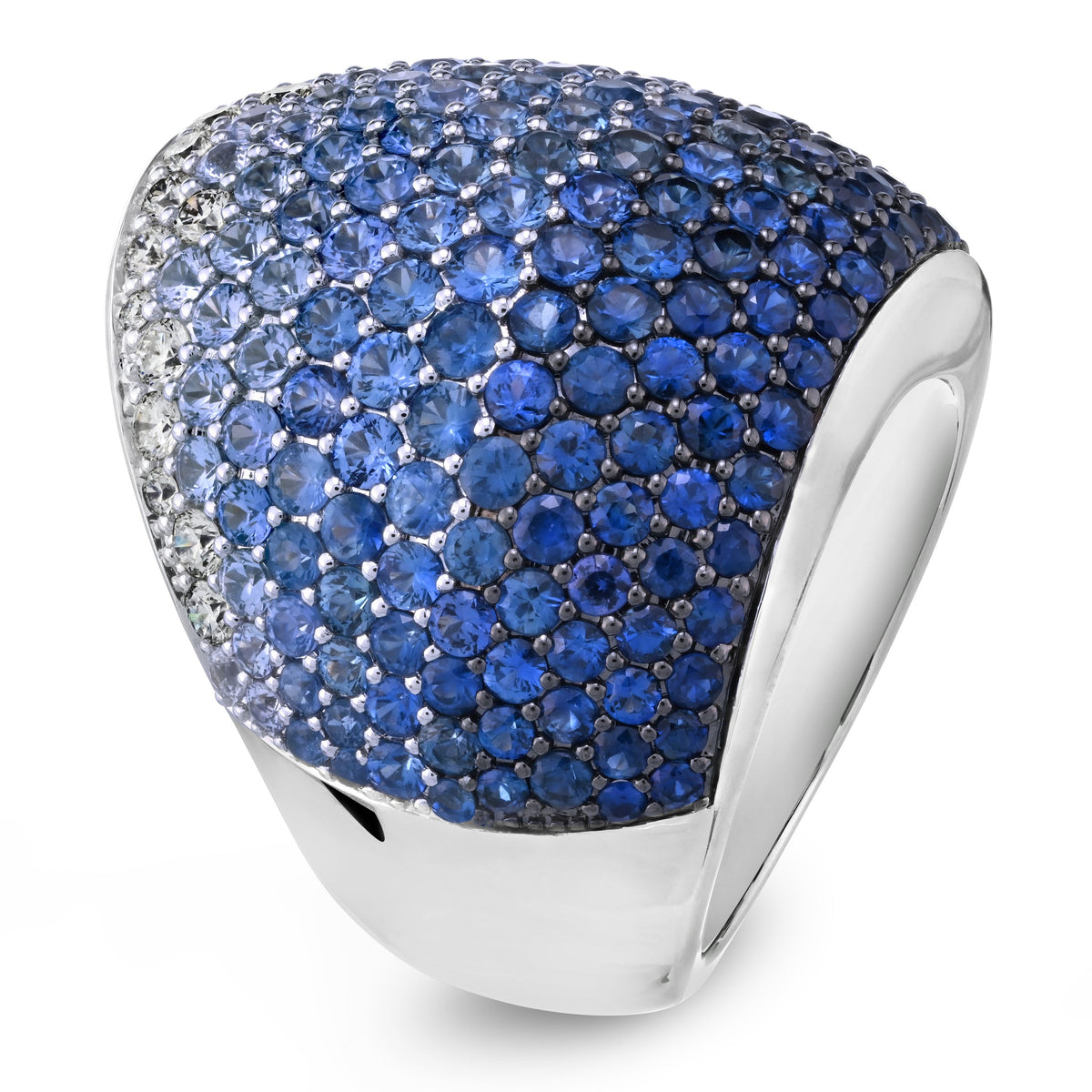 Big Fancy Ring